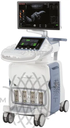 УЗИ аппарат GE HealthCare Voluson E8